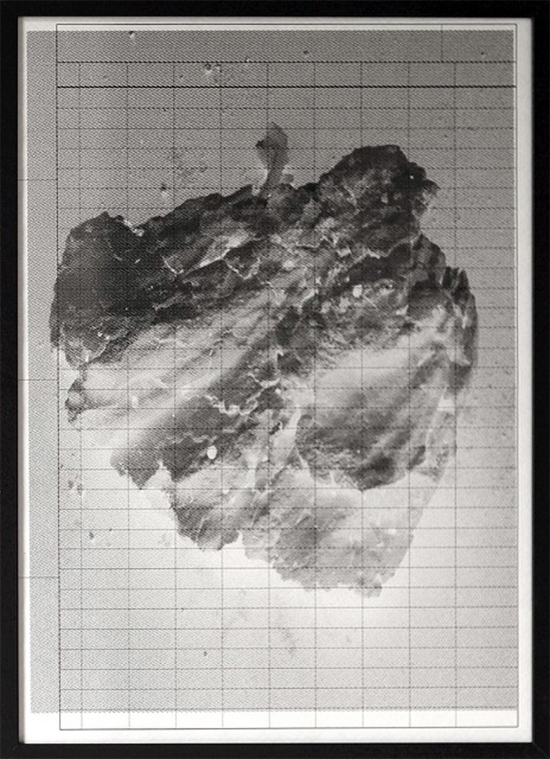 Kornelia Hoffmann LUCA 3 sheets from the series, since 2018 continuous graphic laser print rasterized on spreadsheets 23 x 30 cm